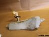 Windshield washer fluid reservoir/tank 