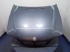 Motorhaube 