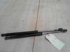 Tailgate/trunk strut/damper 904520004R
