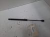 Tailgate/trunk strut/damper 817701H010