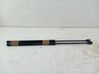 Tailgate/trunk strut/damper 81771J7000
