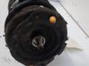 Amortiguador delantero con muelle espiral 8200657090