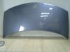 Motorhaube 6025309177