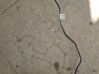 Clutch pipe/line 308511519R