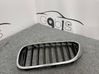 Atrapa chłodnicy / Grill 7383519