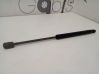Front bonnet/hood damper/strut FL3416C827AB