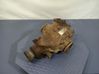 Rear differential 1428917