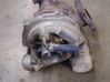 Turbo 9645247080