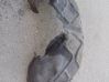Rear arch fender liner splash guards 