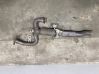Exhaust flexible connection 329002486B4373