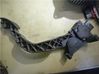 Accelerator throttle pedal 280752227