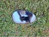 Wing mirror glass 34094