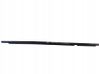 Rear door trim (molding) 