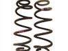 Muelle espiral trasero 