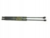 Tailgate/trunk strut/damper 
