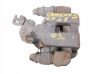 Bremssattel hinten 