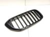 Front grill 7383520