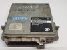 Engine control unit/module 0281001215