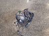 Fuel injection high pressure pump 2940000071