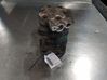Air conditioning (A/C) compressor (pump) 7700273801