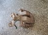 Rear brake caliper 