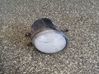 Front fog light 812100D041
