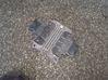 Engine control unit/module 55556752