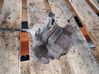 Caliper del freno trasero 