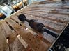 Front driveshaft 