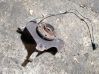 Front wheel hub 