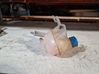 Coolant expansion tank/reservoir 51931808