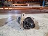 Starter motor CV6T11000GE