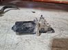 Wiper motor 