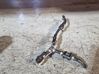 Fuel line/pipe/hose 