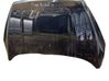 Motorhaube 