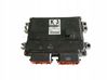 Engine control unit/module 3392062J30