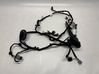Front door wiring loom PX6T14631