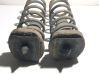 Rear coil spring 