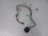 Gearbox/transmission wiring loom 31437015