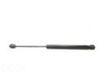 Tailgate/trunk strut/damper 4E0823359D