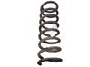 Rear coil spring 