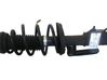 Front shock absorber with coil spring 