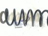 Rear coil spring 