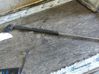 Tailgate/trunk strut/damper 
