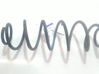 Rear coil spring 