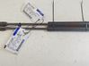 Tailgate/trunk strut/damper 