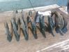 Muelle espiral trasero 