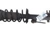 Front shock absorber with coil spring 