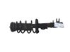 Front shock absorber with coil spring 