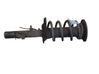 Front shock absorber with coil spring 